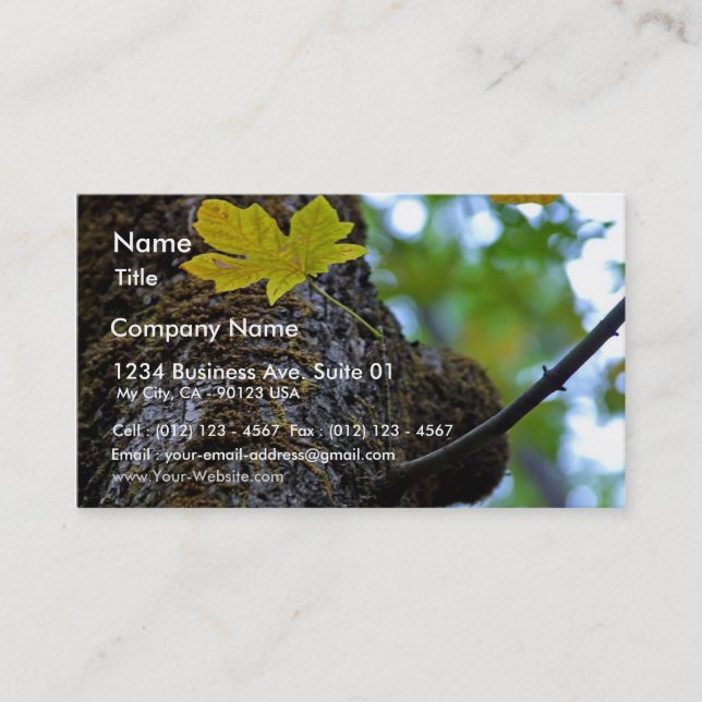 Oak Tree Business Card (Front)
