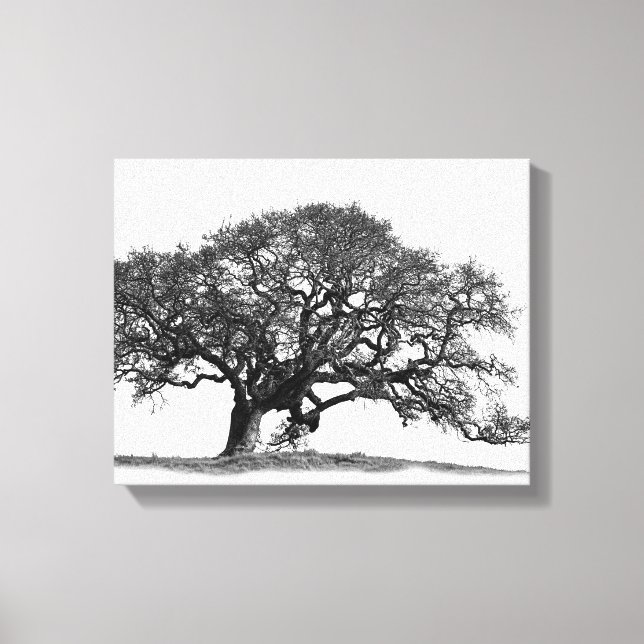OAK TREE CANVAS PRINT (Front)
