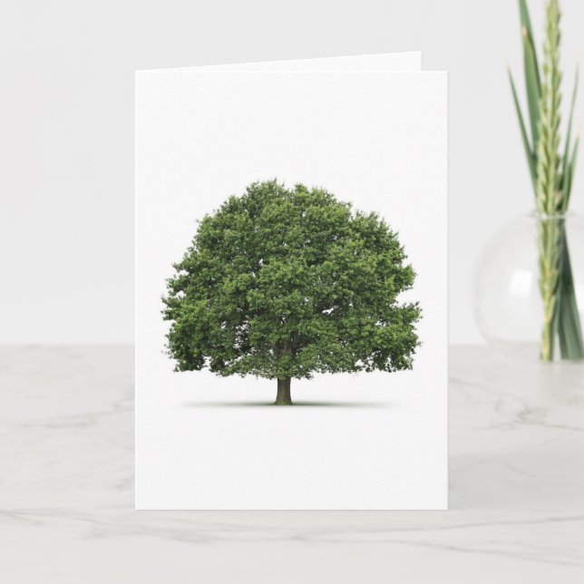 Oak Tree Card (Front)