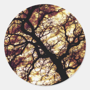 Oak Tree Classic Round Sticker
