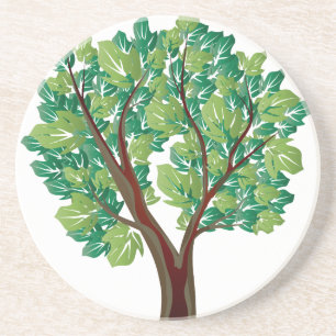 Oak Tree Coaster