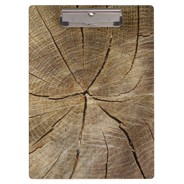 Oak Tree Cross Section Clipboard (Front)
