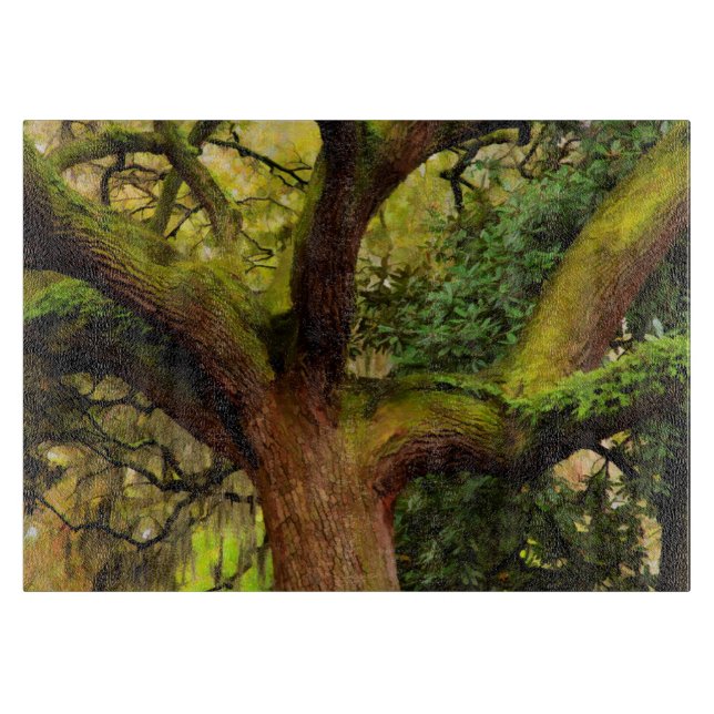 Oak tree cutting board (Front)