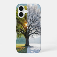 Oak Tree In Dual Seasons