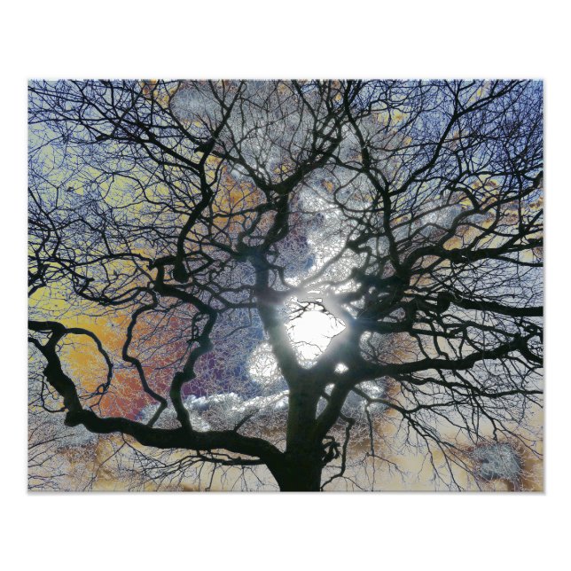 Oak tree in early Spring, colored sky edit Photo Print (Front)
