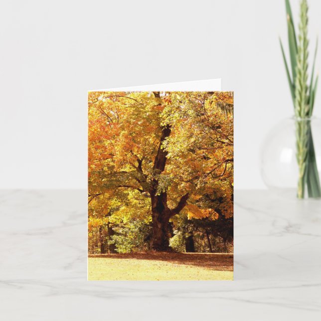 Oak Tree in Fall Holiday Card (Front)