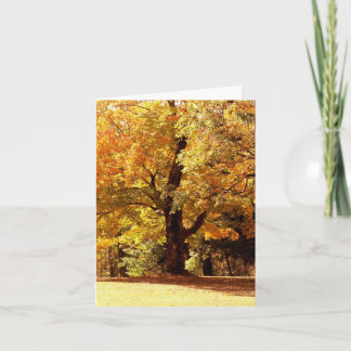 Oak Tree in Fall Holiday Card