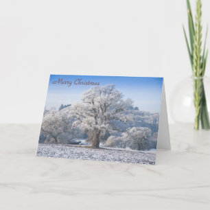 Oak Tree in Frost Christmas Card