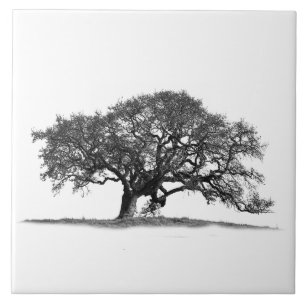OAK TREE IN SILHOUETTE CERAMIC TILE