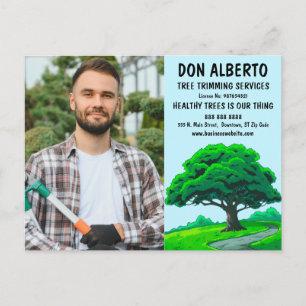 Oak Tree Logo Tree Trimming Service Marketing Postcard