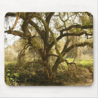 Oak Tree Mouse Pad