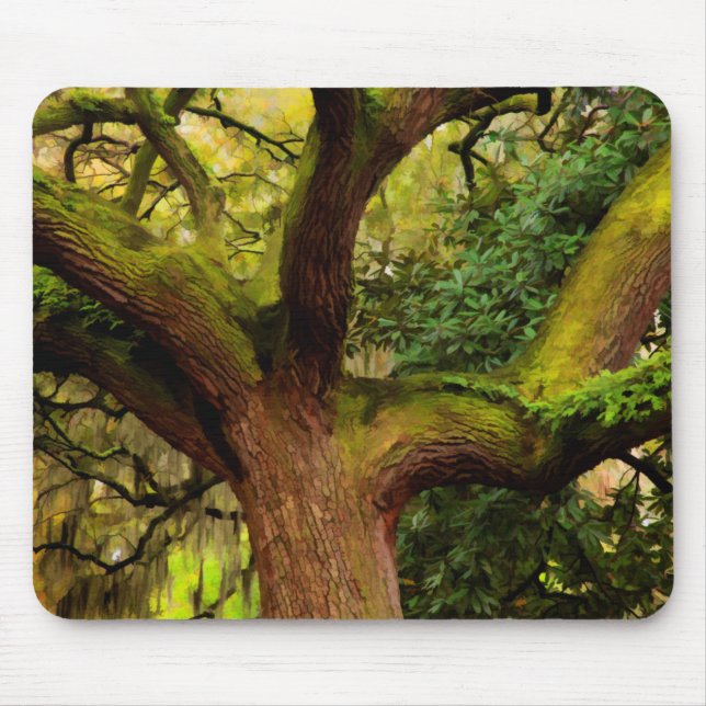 Oak tree mouse pad (Front)