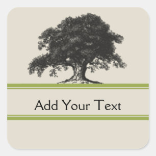Oak Tree Plantation in Green Square Sticker