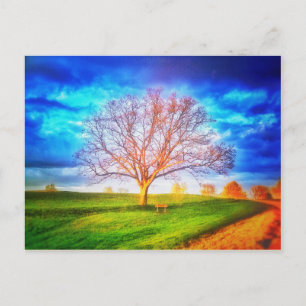 Oak Tree Postcard