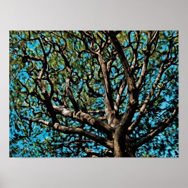 Oak Tree Poster (Front)