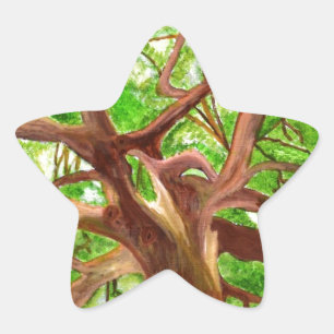 Oak Tree Star Sticker