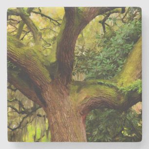 Oak tree stone coaster