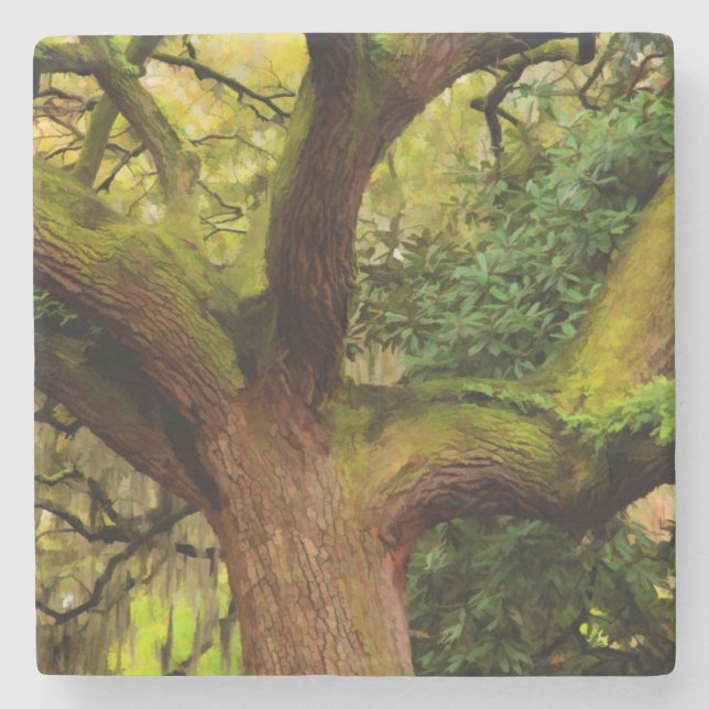 Oak tree stone coaster (Front)