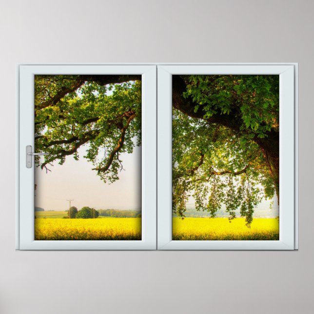 Oak Tree White 2 Pane Window Illusion Poster (Front)