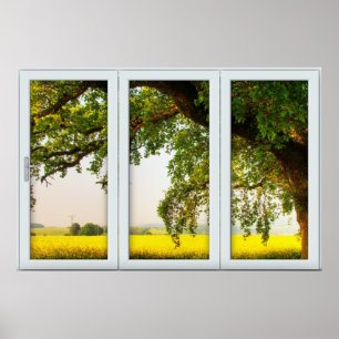 Oak Tree White 3 Pane Window Illusion Poster