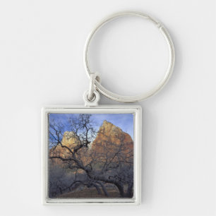 Oak trees in winter, Court of the Patriarchs Key Ring