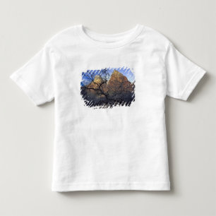 Oak trees in winter, Court of the Patriarchs Toddler T-Shirt