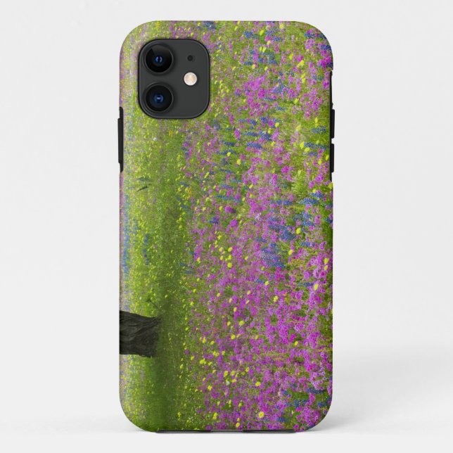 Oak Trees with field of Phlox, Blue Bonnets Case-Mate iPhone Case (Back)