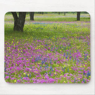 Oak Trees with field of Phlox, Blue Bonnets Mouse Pad