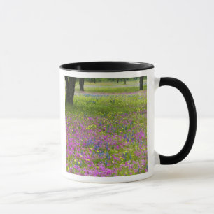 Oak Trees with field of Phlox, Blue Bonnets Mug