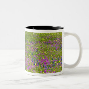 Oak Trees with field of Phlox, Blue Bonnets Two-Tone Coffee Mug