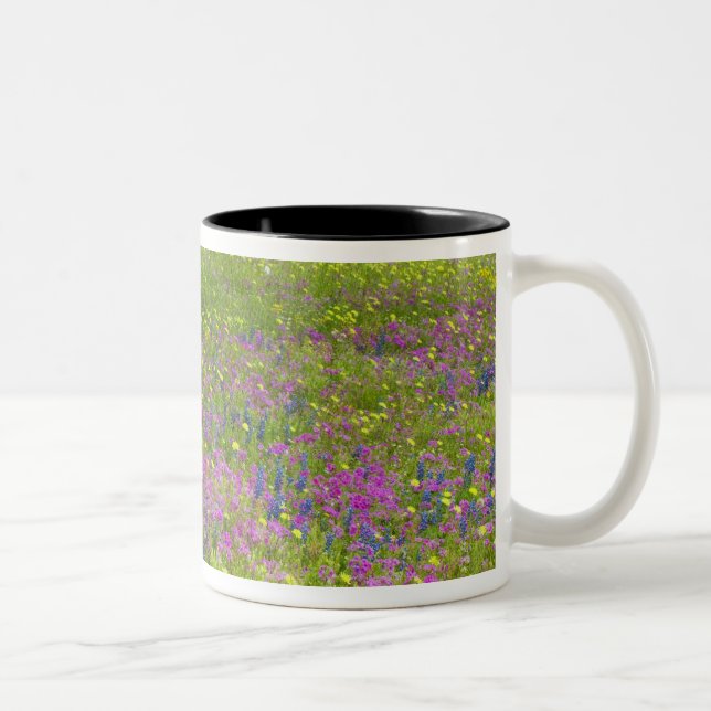 Oak Trees with field of Phlox, Blue Bonnets Two-Tone Coffee Mug (Right)