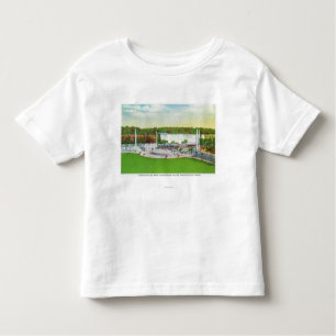 Oakes Garden Theatre View of American Falls Toddler T-Shirt