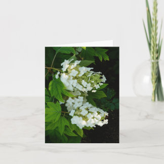 Oakleaf Hydrangea Thank You Card