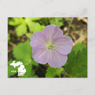 Oakwoods Metropark Wild Geranium with Logo Postcard