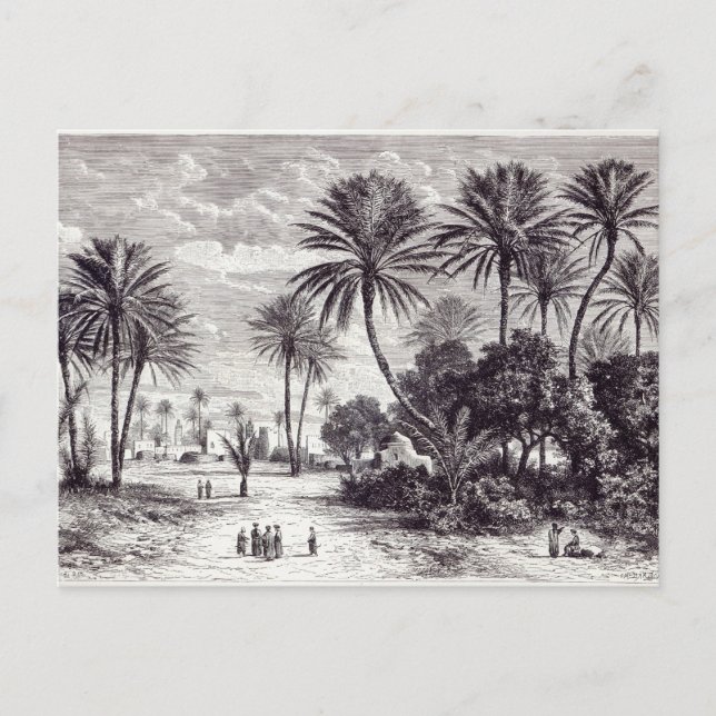 Oasis of Gafsa: Tunis Postcard (Front)