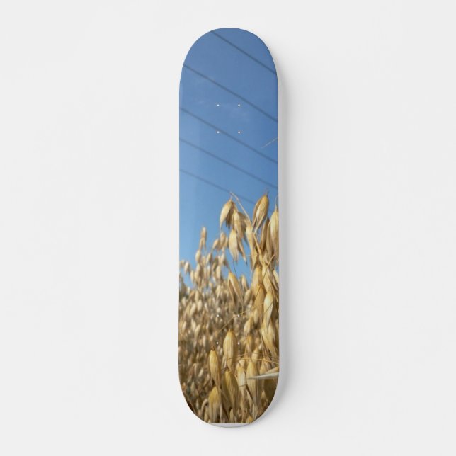 Oats Plant Skateboard (Front)