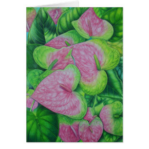 Obake Anthuriums
