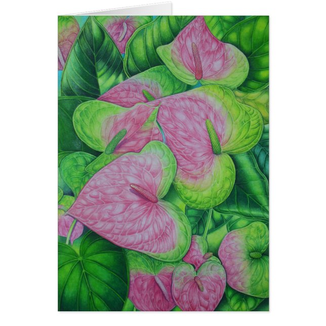 Obake Anthuriums (Front)