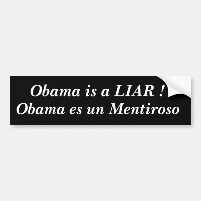 Obama es un Mentiroso, Obama is a LIAR ! Bumper Sticker (Front)