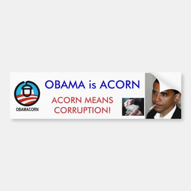 OBAMA IS ACORN; ACCORN MEANS CORRUPTION BUMPER STICKER (Front)