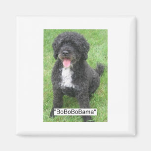 Obama Pet Portuguese Water dog Magnet