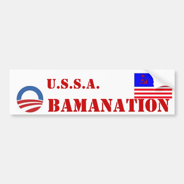 Obamanation Bumper Sticker (Front)