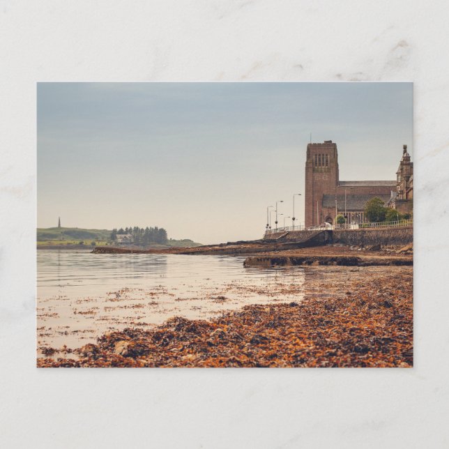 Oban Harbour Postcard (Front)