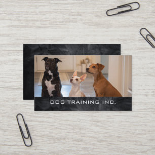 Obedient Dogs Sitting in House Dog Trainer Business Card