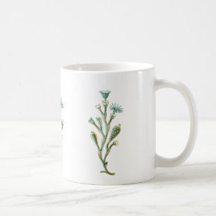 Obelia (Jellyfish) Coffee Mug