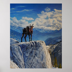 Oberhalsi, pack goat in the mountains poster