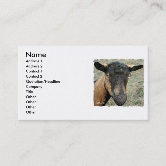 Oberhasli brown goat head shot in colour business card (Front)