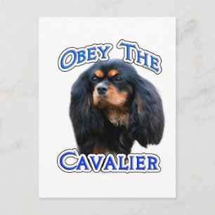 Obey the Cavalier Postcard