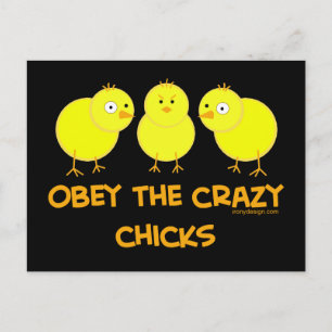 Obey The Crazy Chicks Postcard