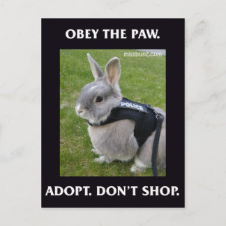 Obey the Paw Postcard